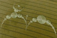 East Field, Wilts 06